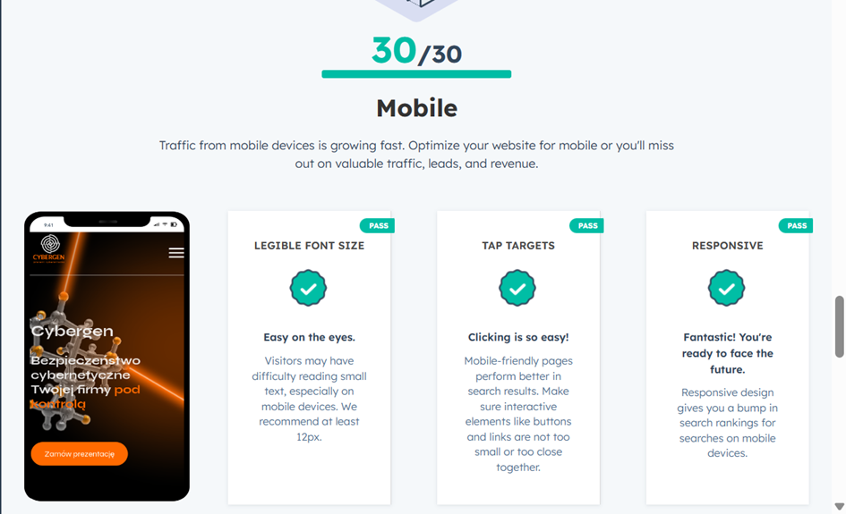 HubSpot Website Grader. Sample result Mobile