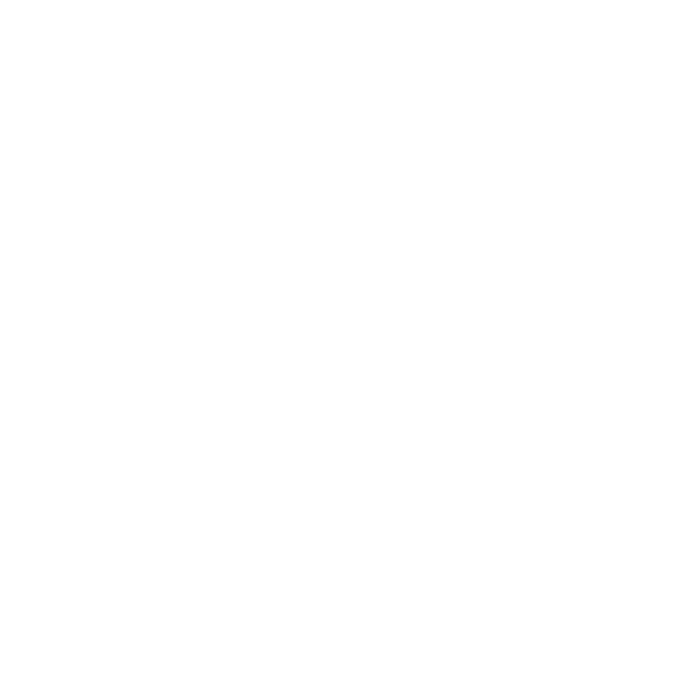 HS Platinum